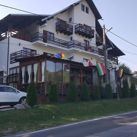 ホテル Pensiunea Pomi -Oesti Albestii Paminteni エクステリア 写真