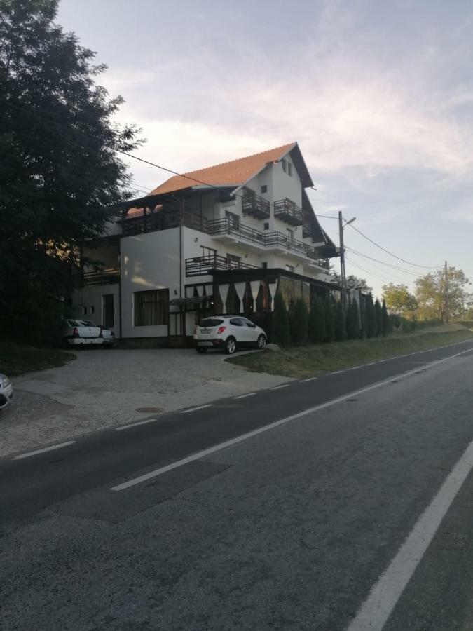 ホテル Pensiunea Pomi -Oesti Albestii Paminteni エクステリア 写真